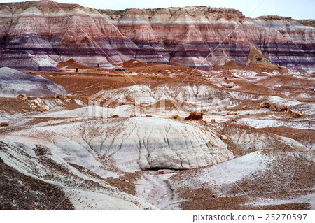 Purple sandstone formations of Blue Mesa badlands 25270597