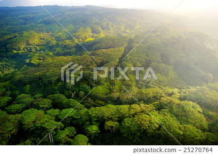 Stunning aerial view of spectacular jungles, Kauai 25270764