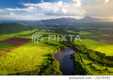 Stunning aerial view of spectacular jungles, Kauai 25270765