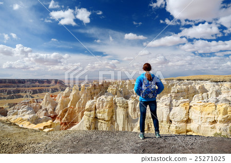 Hiker admiring views of sandstone formations of Coal Mine Canyon, Arizona 25271025