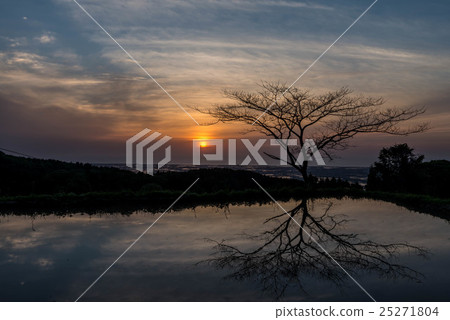 Evening view of Yamazato 25271804