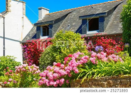 布萊爾島上的石屋和彩色花壇 25271893