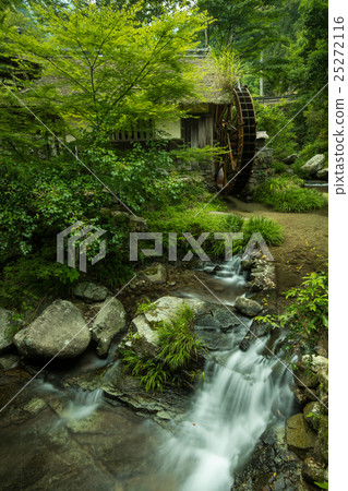 Water mill and brook 25272116