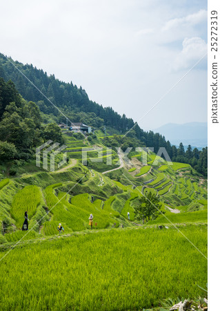 泉屋的谷田（Izumiya Uchikocho愛媛縣） 25272319