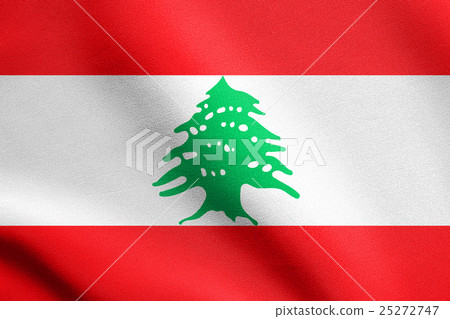 Flag of Lebanon waving with fabric texture Flag of Lebanon waving with fabric texture 25272747