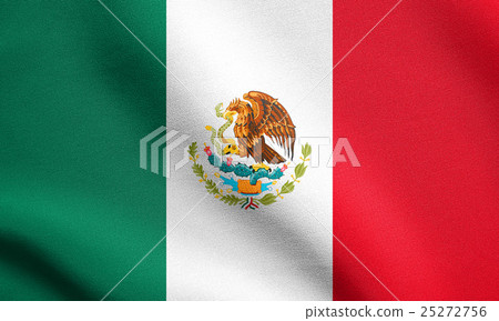 Flag of Mexico waving with fabric texture 25272756