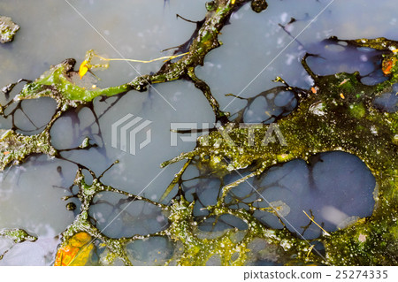 oil Slick and dirty water flow out of the sewer 25274335