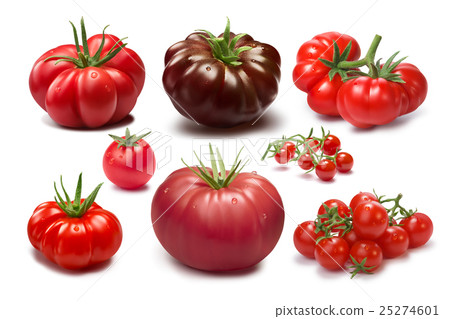 Set of different tomato varieties Set of different tomato varieties 25274601