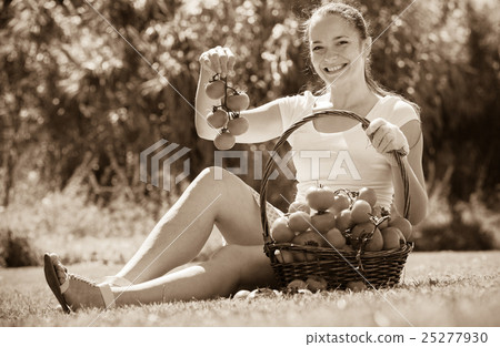 woman with basket of harvested tomato 25277930