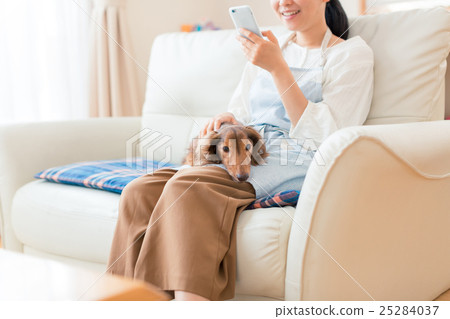 dog, dogs, boring 25284037