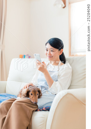 Housewife, housewife, dog 25284040