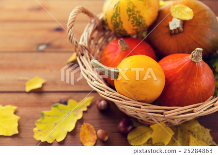 close up of pumpkins in basket on wooden table 25284863