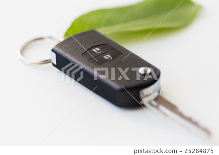 close up of car key and green leaf close up of car key and green leaf 25284875