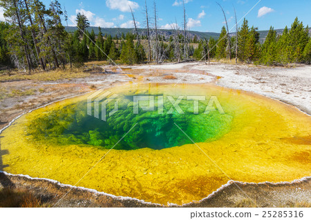 Morning Glory Pool Morning Glory Pool 25285316