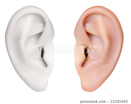 Human Ear 25285405