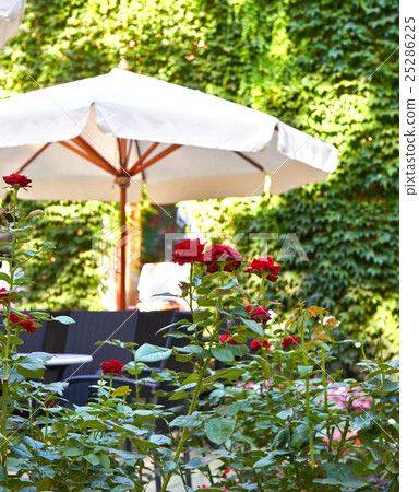 summer street cafe interior in green city park 25286225