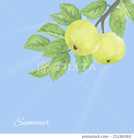 pattern with green apples and leaves pattern with green apples and leaves 25286368