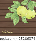 pattern with green apples and leaves 25286374