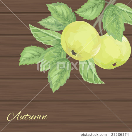 pattern with green apples and leaves pattern with green apples and leaves 25286374