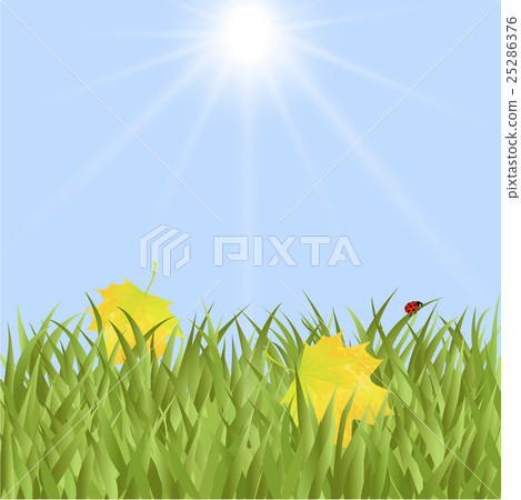 ?????? ?????? 25286376