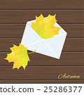 illustration with autumn leaves 25286377