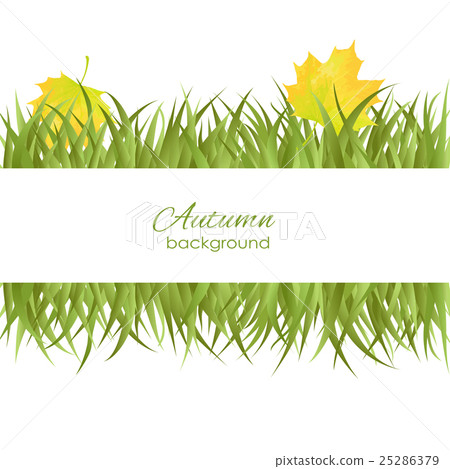 ?????? ?????? 25286379