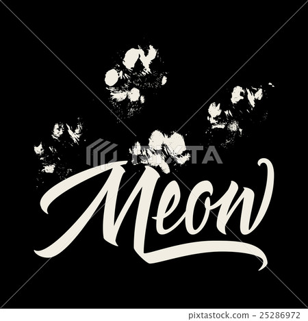 T-shirt printing. Meow. Calligraphy lettering T-shirt printing. Meow. Calligraphy lettering 25286972