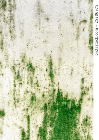 Panel rust Panel rust 25286975