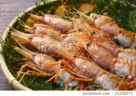 原始按鈕蝦 25288571