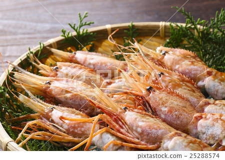 原始按鈕蝦 25288574