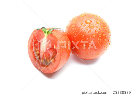 Tomato Tomato 25288589