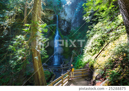 Waterfall in Vancouver Waterfall in Vancouver 25288875