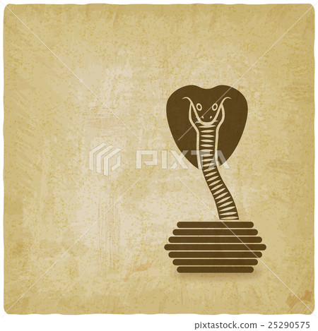 Cobra in basket old background 25290575