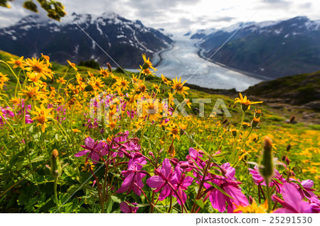Salmon glacier Salmon glacier 25291530