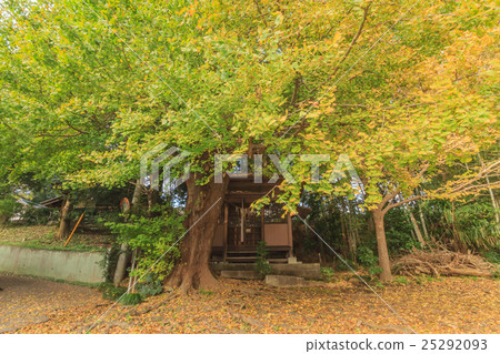 Sukodo的Fudo在Yotsukaido市在秋天 25292093