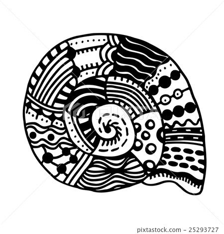 Hand Drawn seashell. Hand Drawn seashell. 25293727