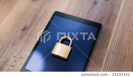 Security Security 25295342