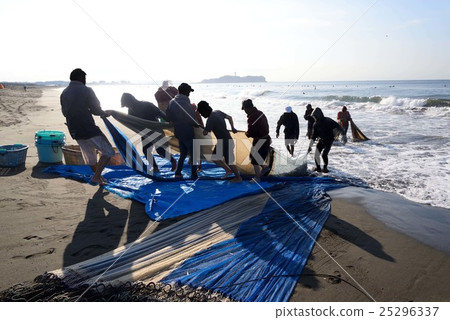 清晨Tsujido沿海地區漁網捕魚 25296337