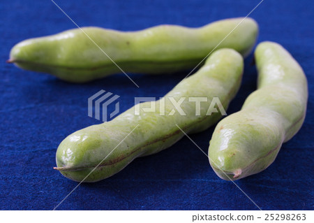 Broad beans ♪ 25298263