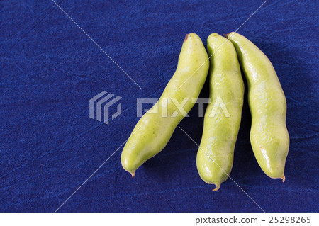 Broad beans ♪ Broad beans ♪ 25298265