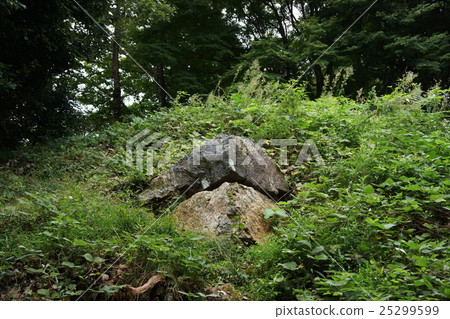 Sawayama城堡Tenso Ishigaki Sawayama城堡Tenso Ishigaki 25299599