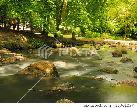 stones in woods forest. stream in gdansk oliva park. stones in woods forest. stream in gdansk oliva park. 25301257