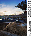 Fishing net 25302081