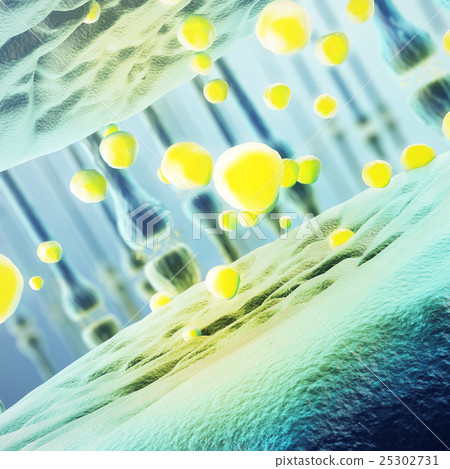 Synaptic transmission, human nervous system. 3d Synaptic transmission, human nervous system. 3d 25302731