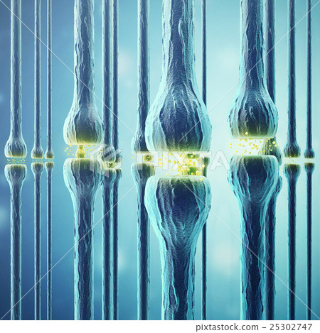 Synaptic transmission, human nervous system. 3d Synaptic transmission, human nervous system. 3d 25302747