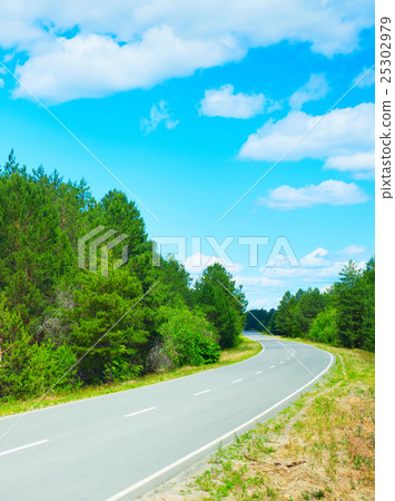 Forest asphalt road Forest asphalt road 25302979