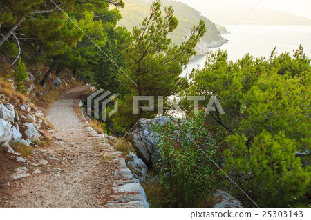 Forest Park Osejava in Makarska 25303143