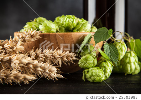 Beer bottle on dark background 25303985