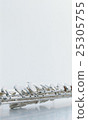 flute 25305755