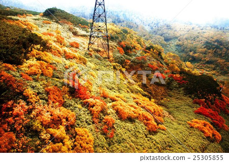 Asahi-dake smoking in late autumn 25305855